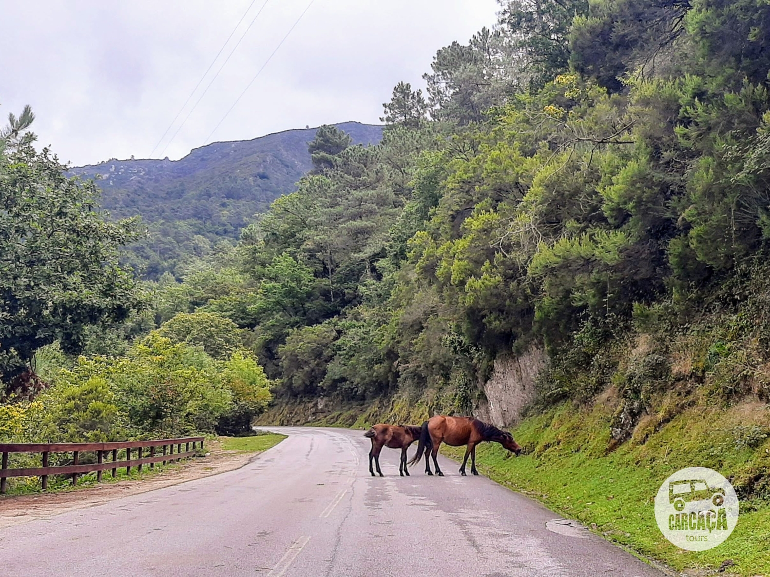 Parque Nacional da Peneda-Gerês Norte